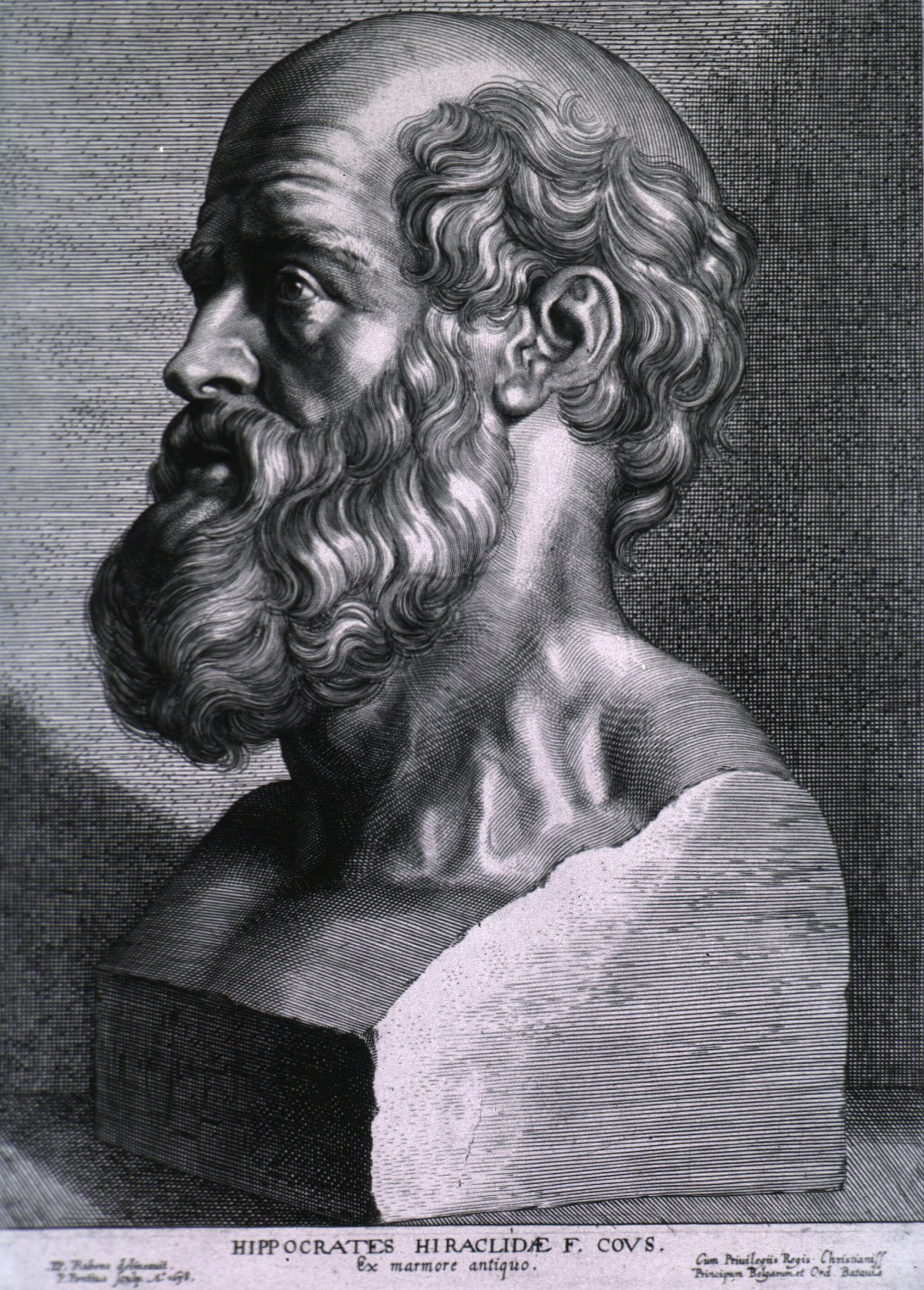 Engraving of Hippocrates of Kos after Peter Paul Rubens