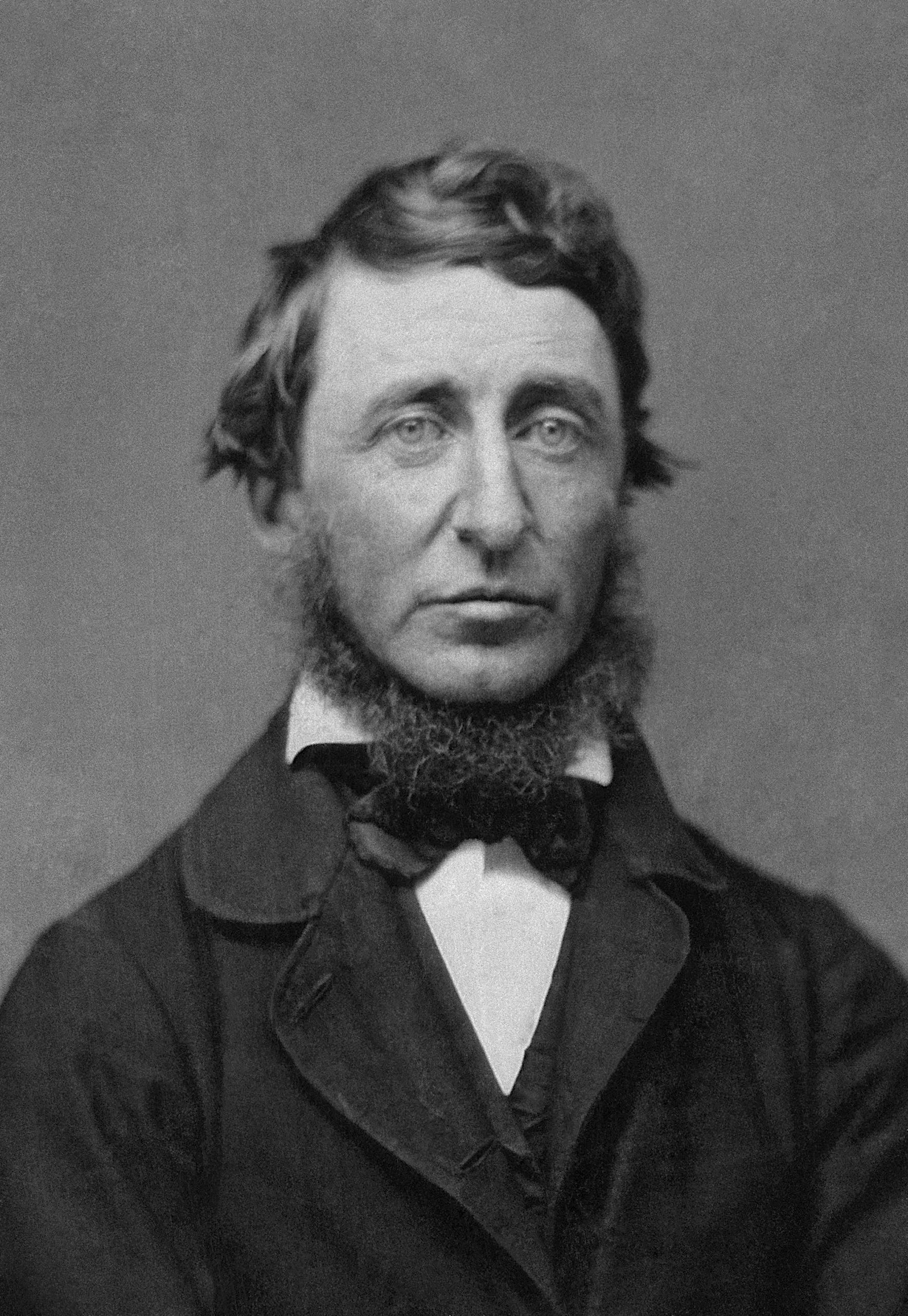 Daguerreotype portrait of Henry David Thoreau by Benjamin D. Maxham, 1856