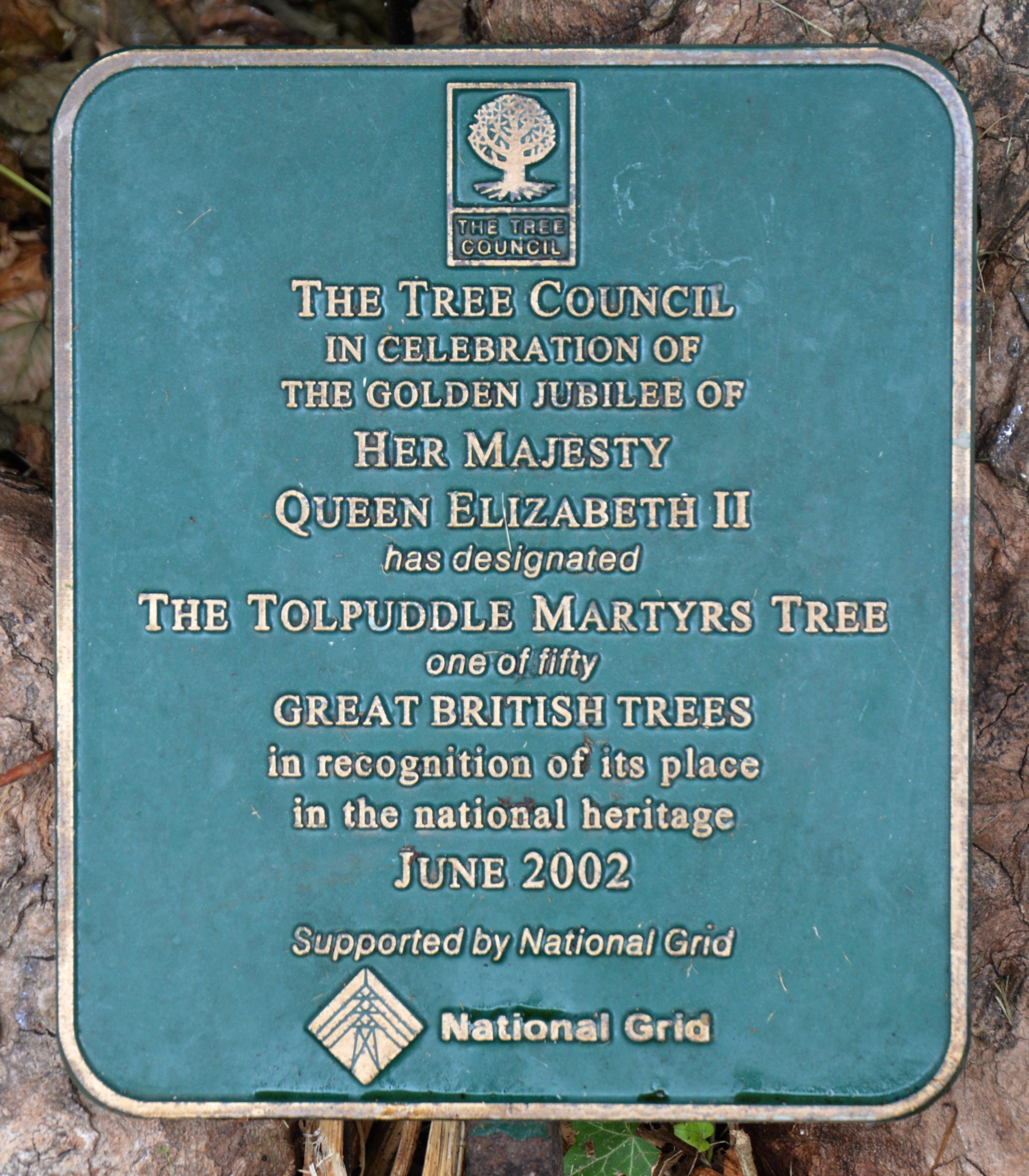 Commemorative plaque at the base of the Tolpuddle Martyrs Tree in Dorset